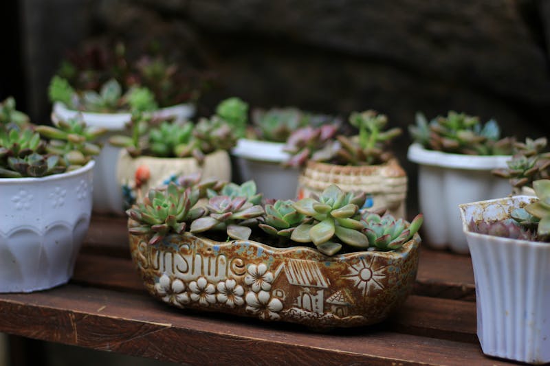 Bouquet blanc mariage et baptême fleurs
