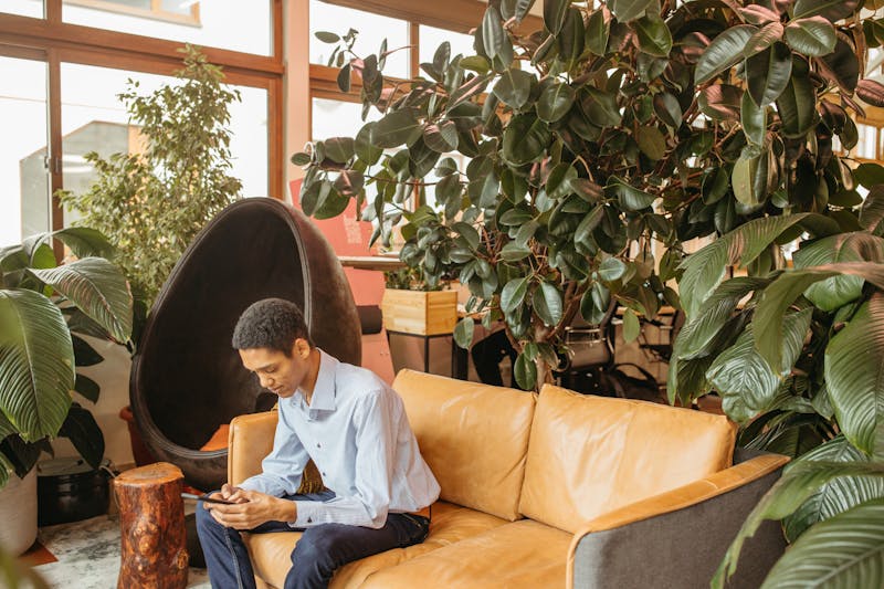 Location de plantes pour bureaux